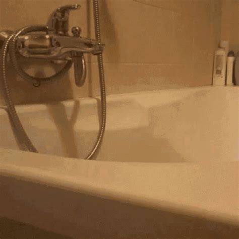 bathtub sex gifs